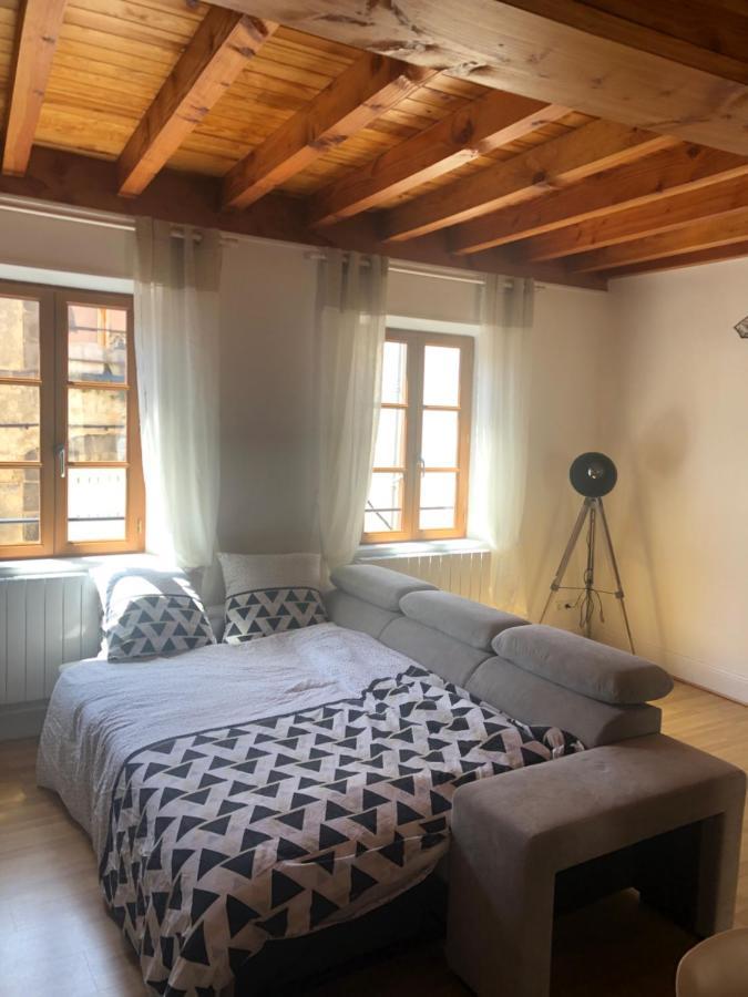 Le Double Pirou # 2 Appartements # Halte Auvergne Thiers Ngoại thất bức ảnh